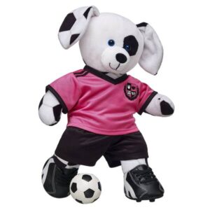 Sports gift